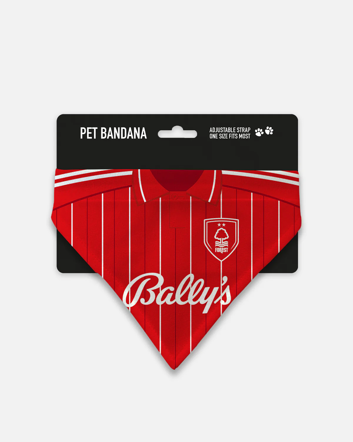 NFFC 25/26 Home Pet Bandana