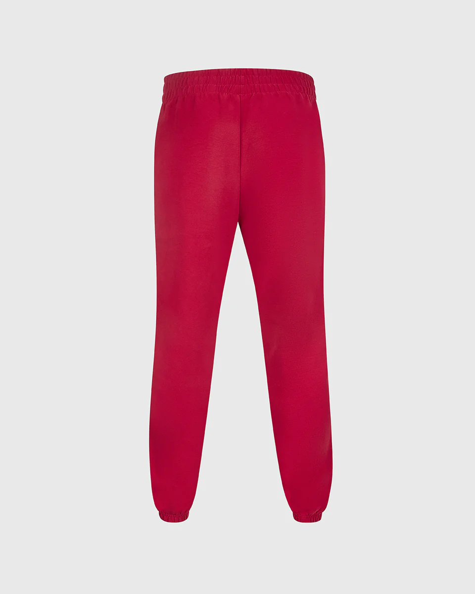 NFFC adidas Womens Maroon Future Icons Pant - Image 7