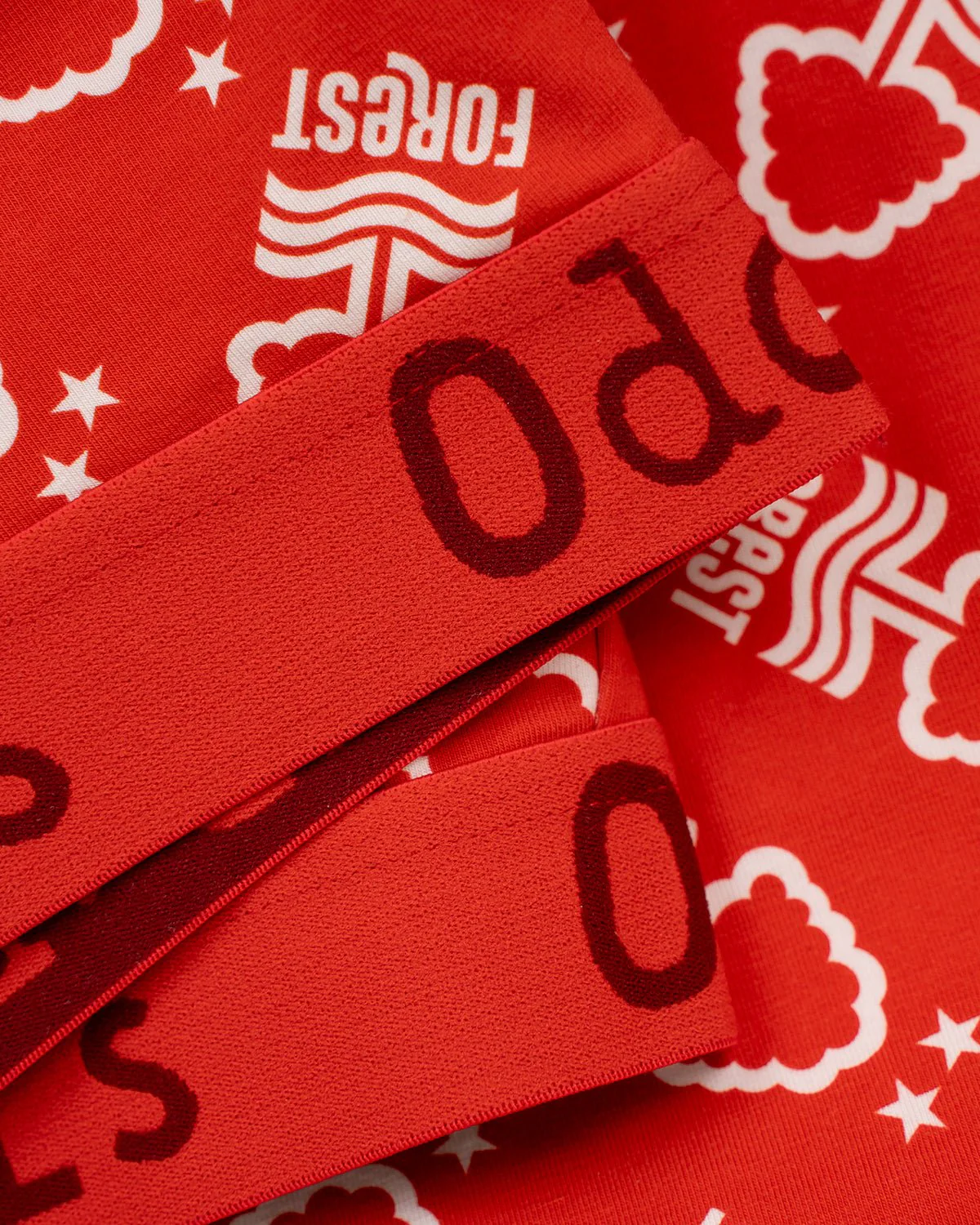 NFFC Oddballs Bralette - Image 3