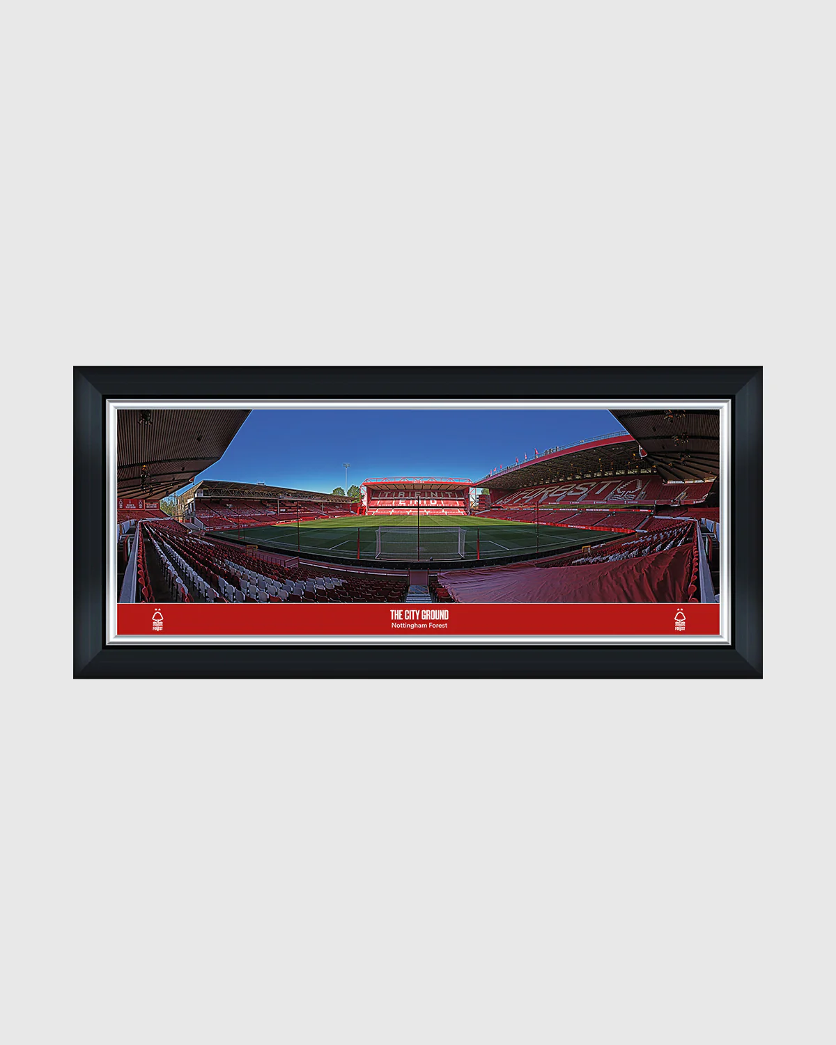 NFFC Panoramic Stadium Print - 30 Inch