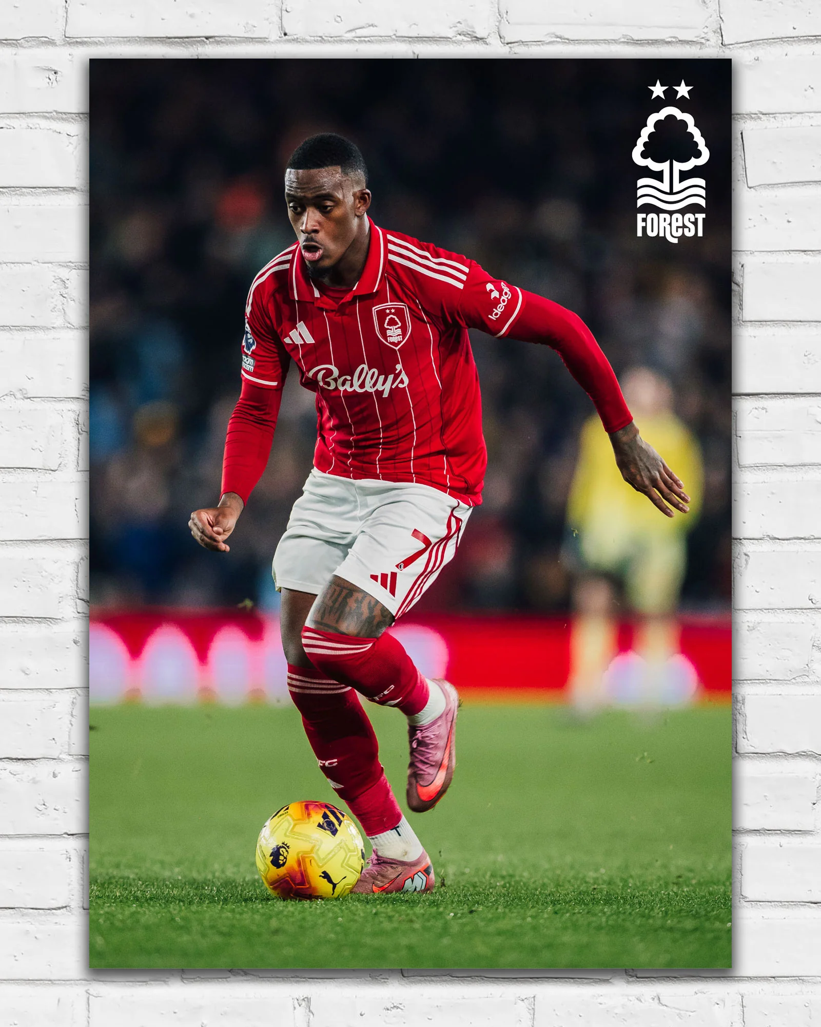 NFFC Callum Hudson-Odoi Action Shot Print - Framed/Unframed - Image 2