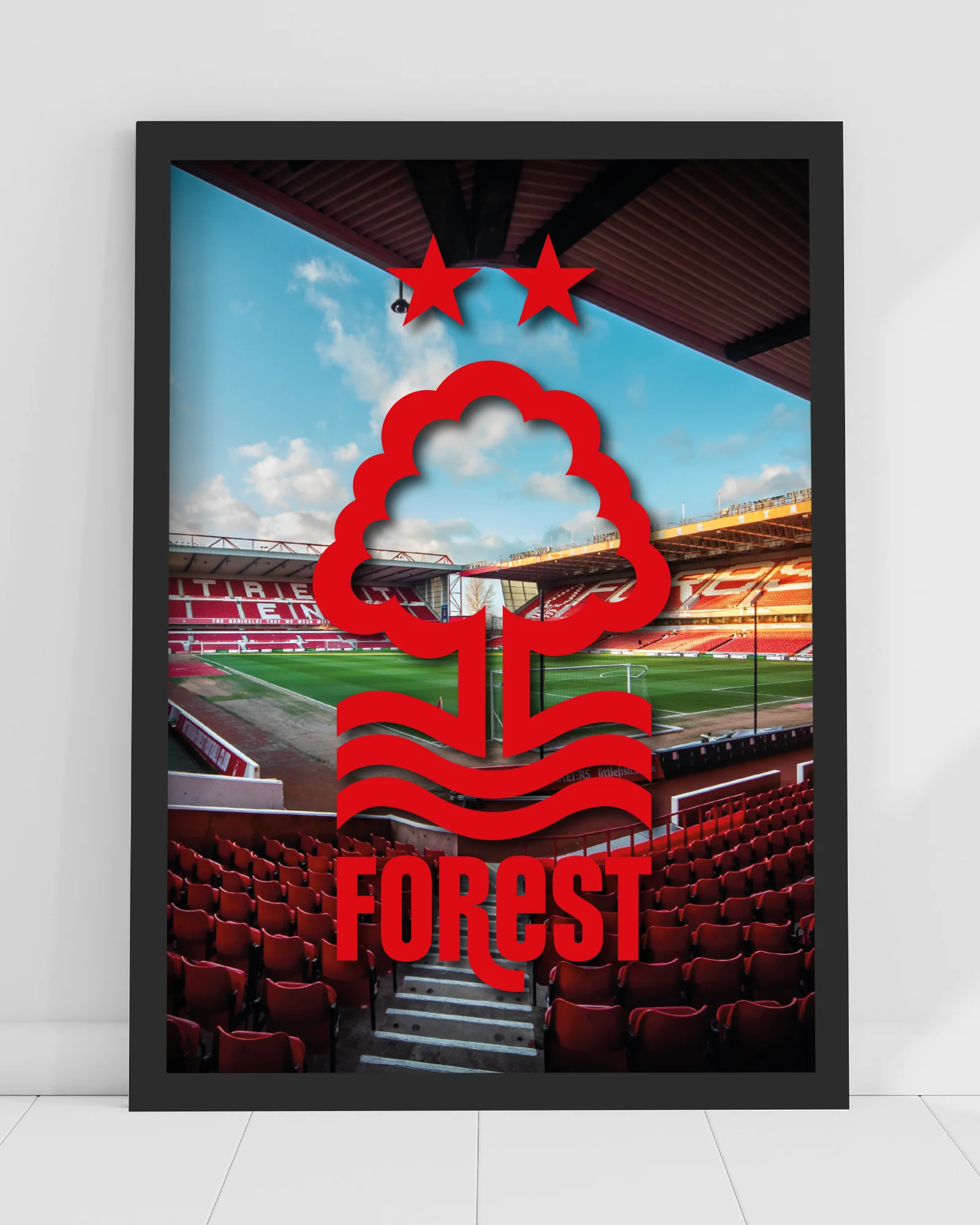 NFFC Red Crest Stadium Print - Framed/Unframed