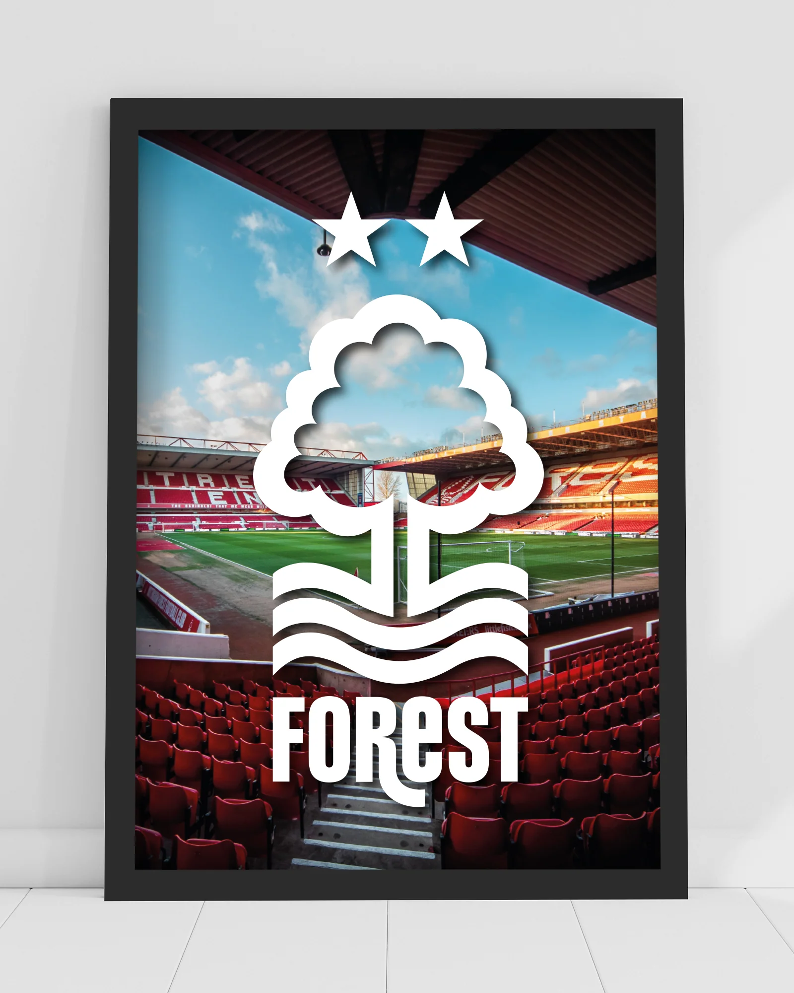 NFFC White Crest Stadium Print - Framed/Unframed