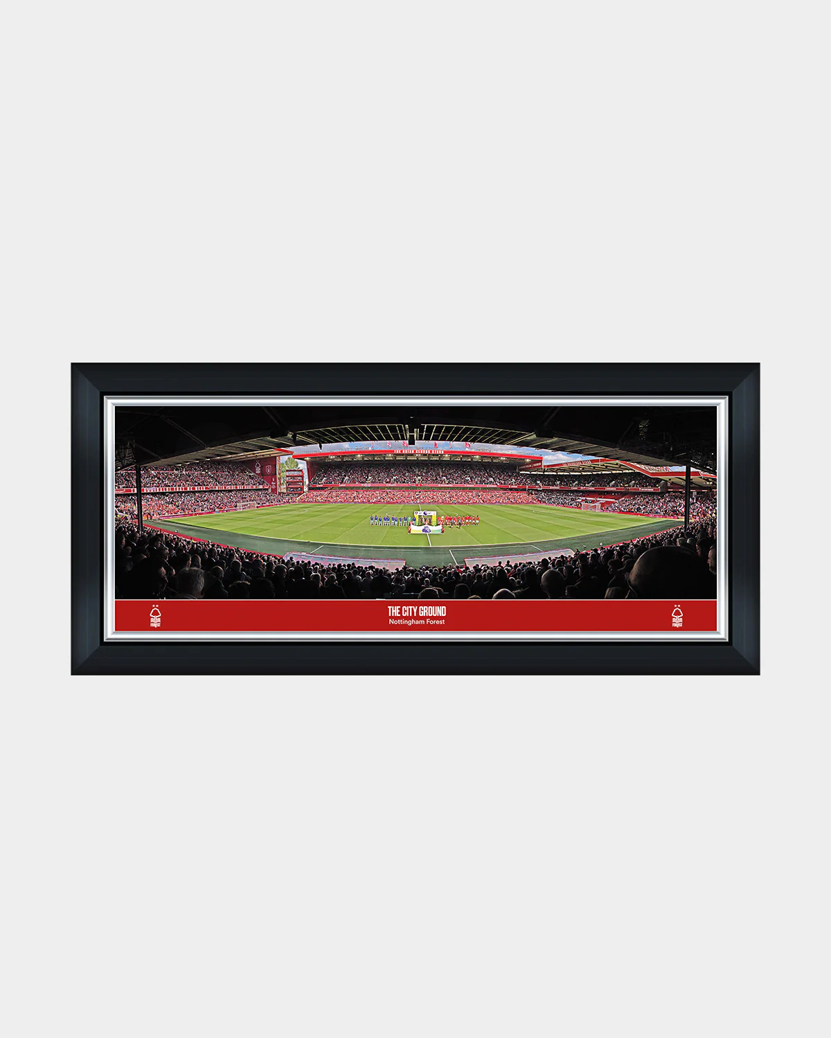 NFFC Panoramic Stadium Line Up Print - 30 Inch